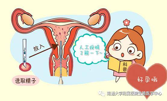 男性不孕不育