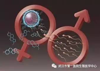 男性不孕不育