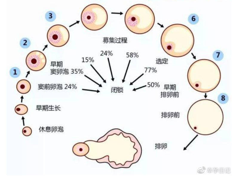 男性不孕不育