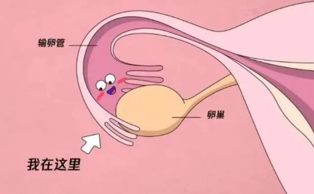 男性健康检查