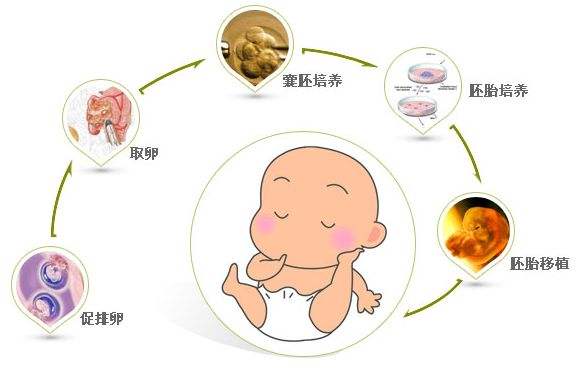 男性孕前检查