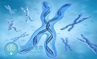 男性不育