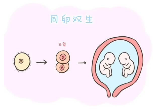 男性不育