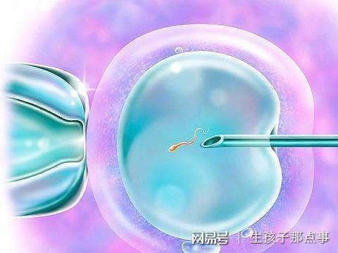 移植后着床时间