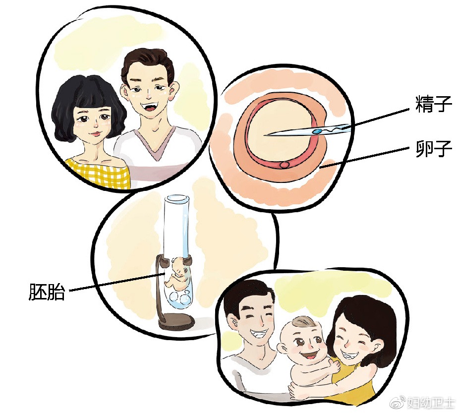 胚胎移植；胚胎着床；着床后反应；影响因素；检测方法