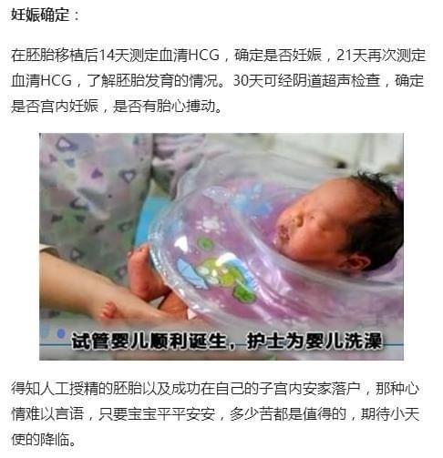 胚胎移植