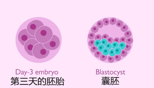 宝宝发烧