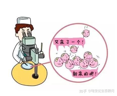 秀儿早早孕