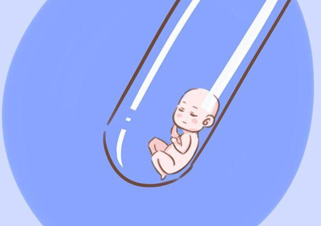 移植囊胚