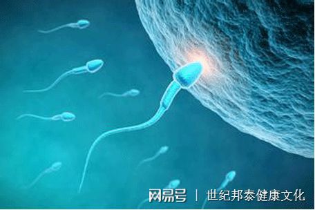 移植着床后