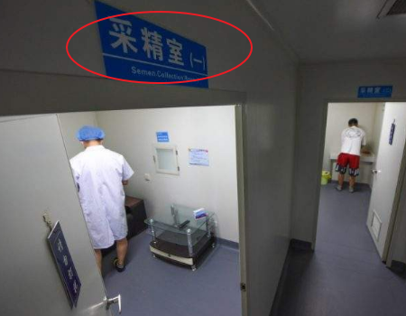 胚胎移植