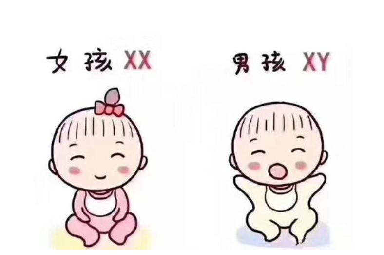 移植手术