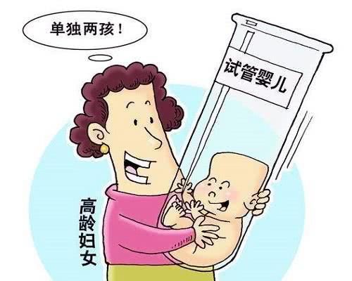 桑葚胚胎移植