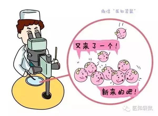 移植手术