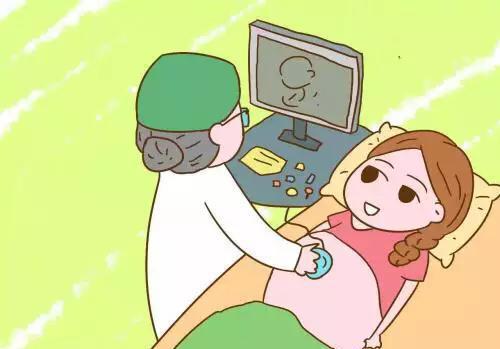 胚胎移植