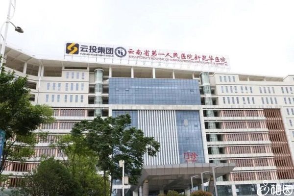 胚胎移植