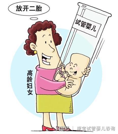 移植囊胚