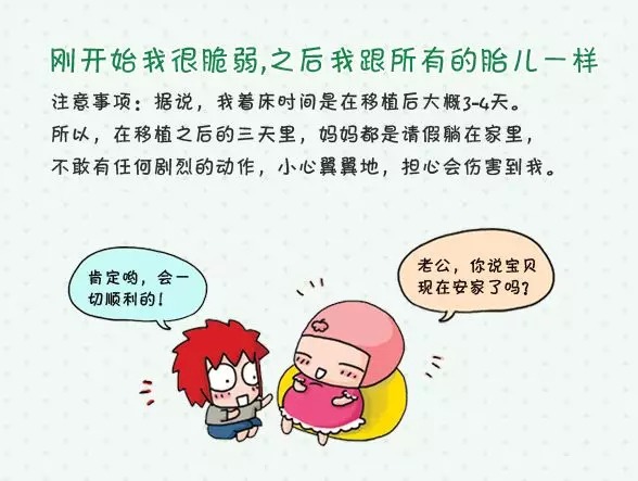 胚胎移植