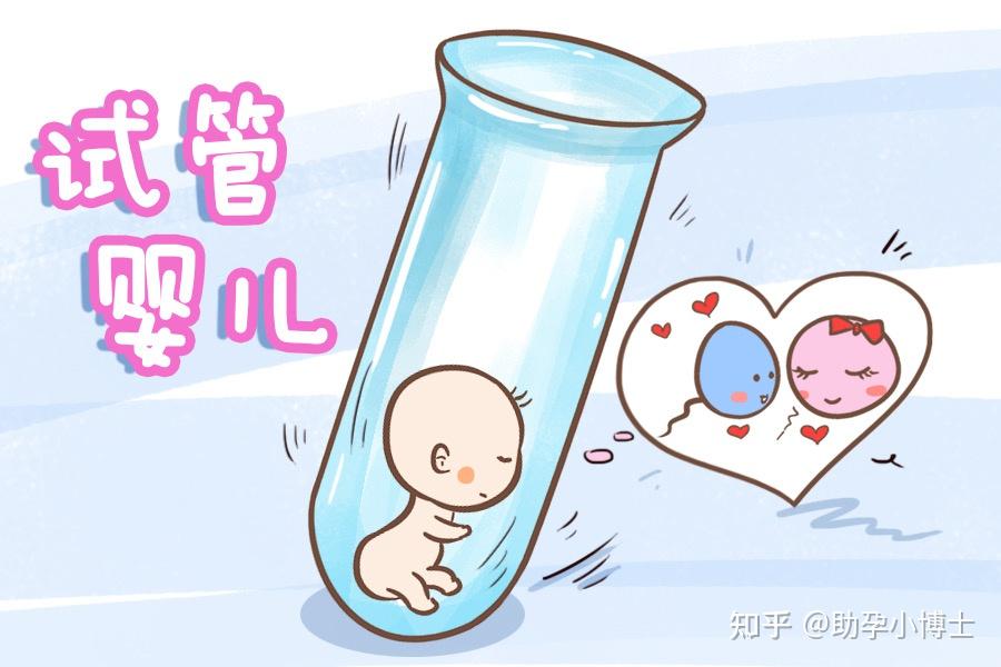 移植后着床