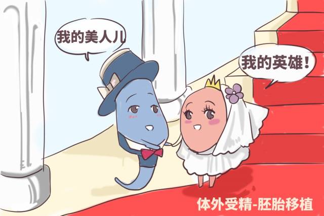 胚胎移植