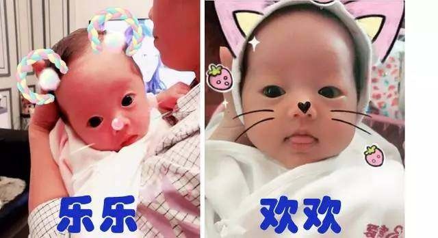 胚胎移植