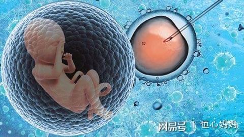 胚胎移植