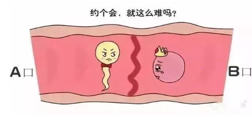 宝宝祝福语