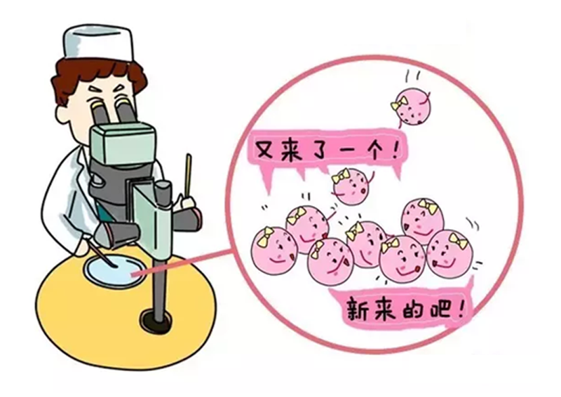 移植后走动