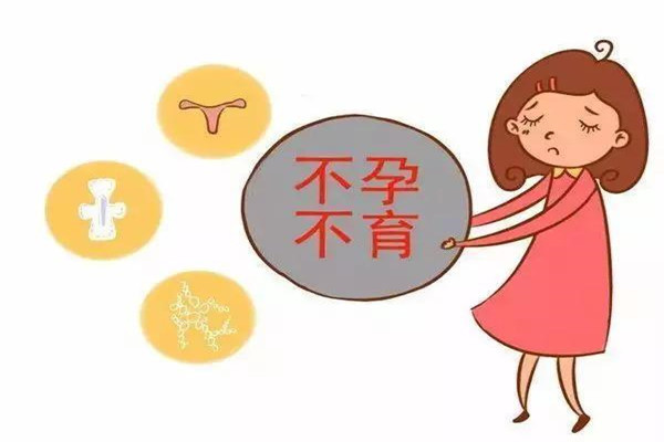 移植囊胚