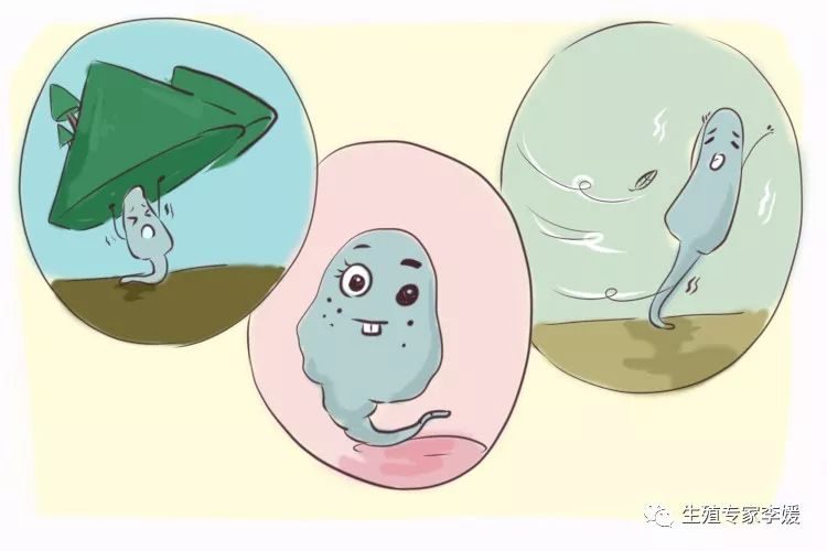 夫妻离婚